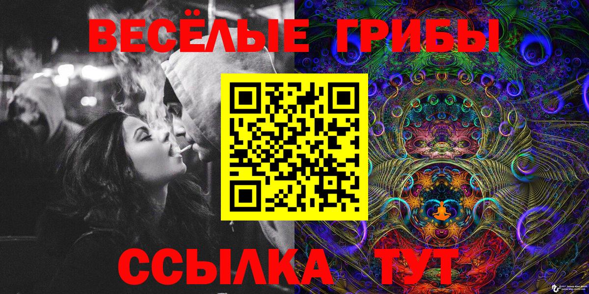 Галлюциногенные грибы мицелий  Псилоцибиновые грибы ЛСД  Новозыбков  Вход с VPN 